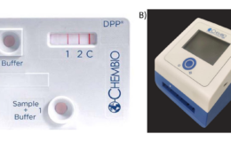 DPPT assay diagnostic for typhoid