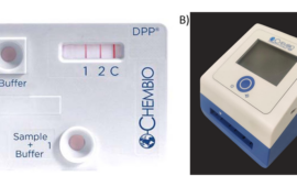 DPPT assay diagnostic for typhoid