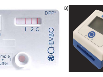 DPPT assay diagnostic for typhoid