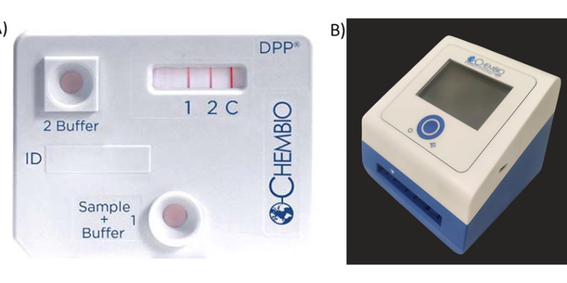 DPPT assay diagnostic for typhoid